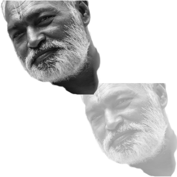 Vanishing seniors-two heads square