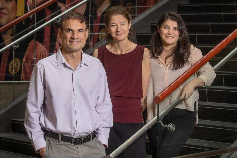 Memory research 2021