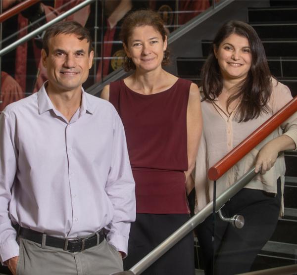 Memory research 2021 - thumbnail