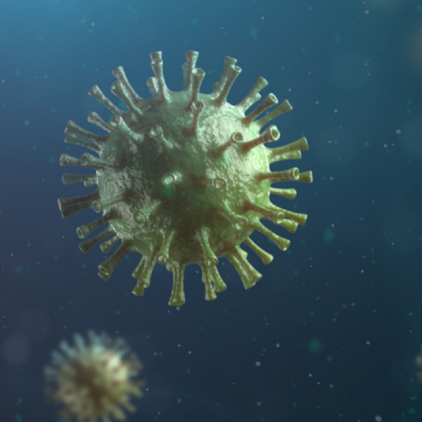 Long-term effects of COVID-19 infection may shape cognitive health in an aging society